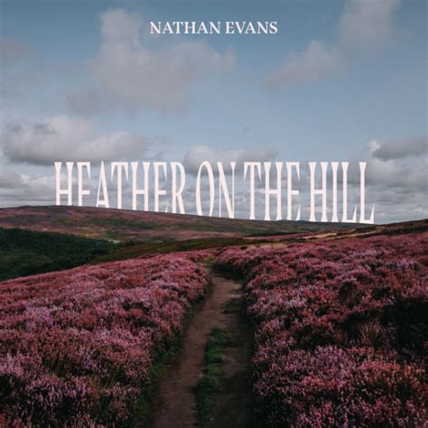 nathan house on hill violin metal|Nathan Evans .